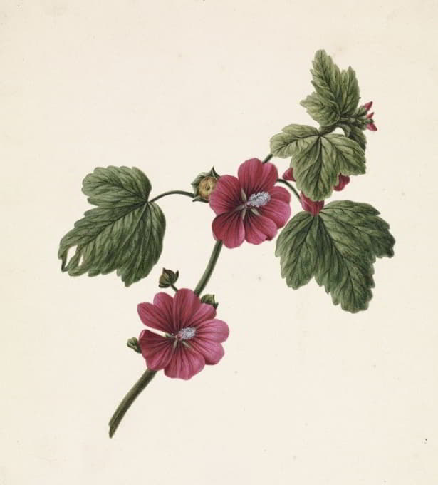 M. de Gijselaar - Takje met paarse bloemen