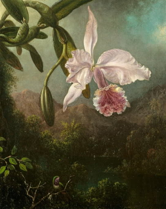 Martin Johnson Heade - Orchid Blossoms