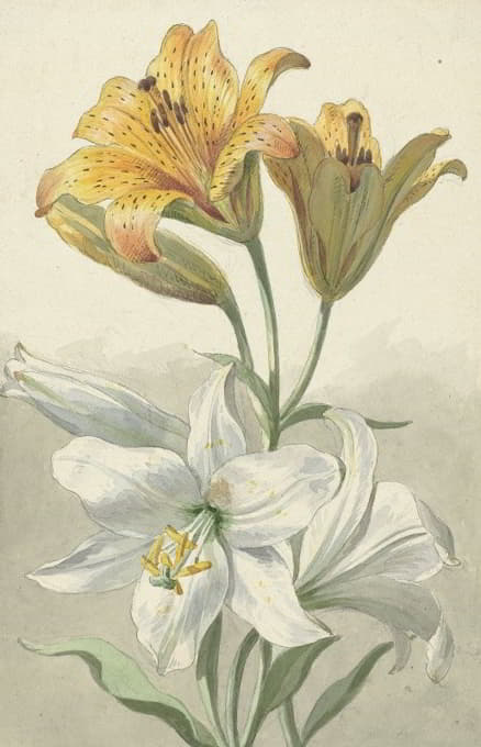 Willem van Leen - Yellow and White Lilies