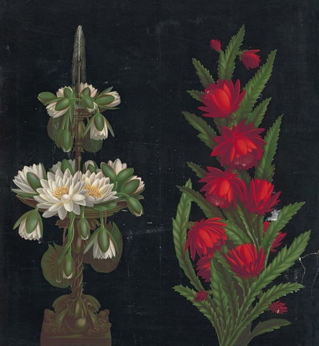 Anonymous - White water lilies in a two-tiered fountain and red flowers with pointed leaves on black background