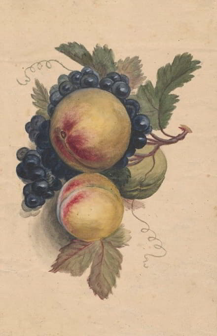 桃子和葡萄