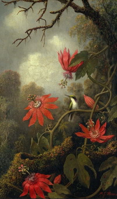 Martin Johnson Heade - Hummingbird and Passionflowers