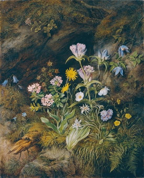Theodor Petter - Alpine Flora
