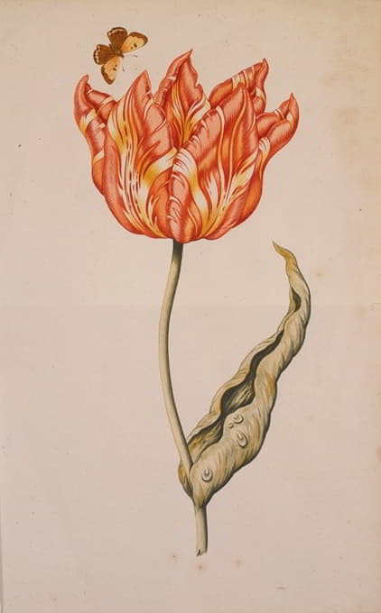 Dutch School - An Orange And Yellow Tulip With A Butterfly