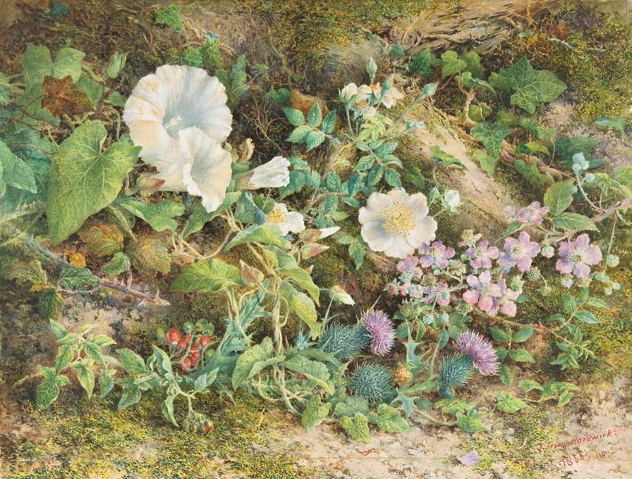 John Jessop Hardwick - Flower Study