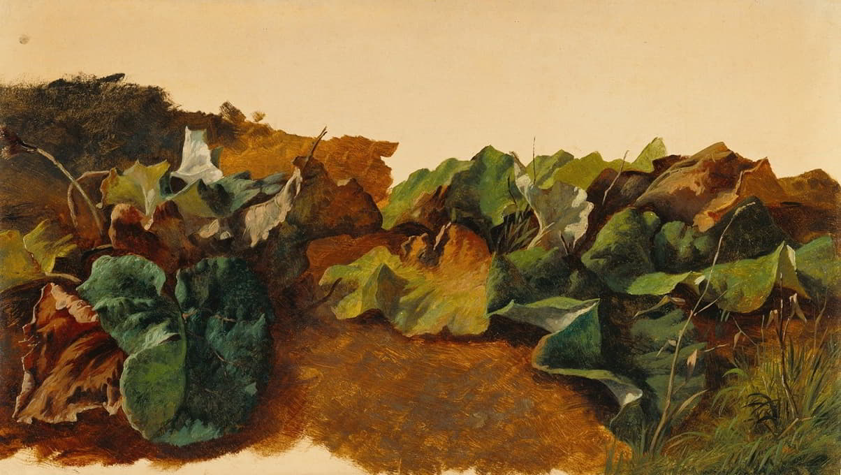 Gilles-François-Joseph Closson - Large Butterburr Leaves and Grass