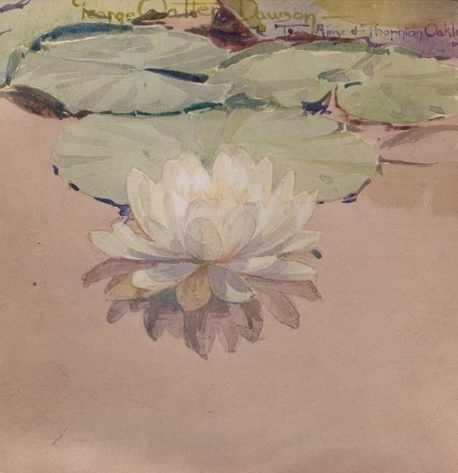 George Walter Dawson - White Water Lily