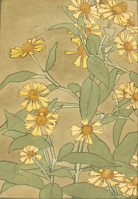 Hannah Borger Overbeck - Daisies with Orange Center and Yellow Petals