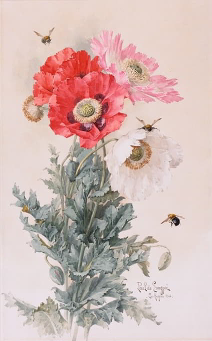 罂粟和蜜蜂