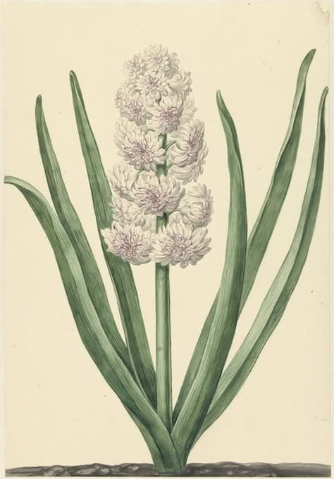 Abraham Hendrik van Beesten - De rozewitte hyacint Staaten Generaal