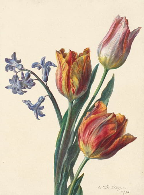 C. de Haspe - Drie tulpen en een takje hyacint