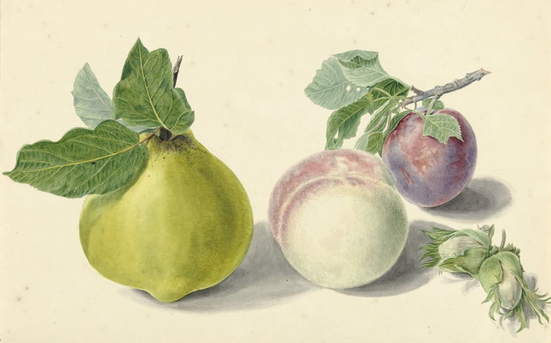 一个梨、桃子、李子和坚果，出自惠瑟姆的迈克尔