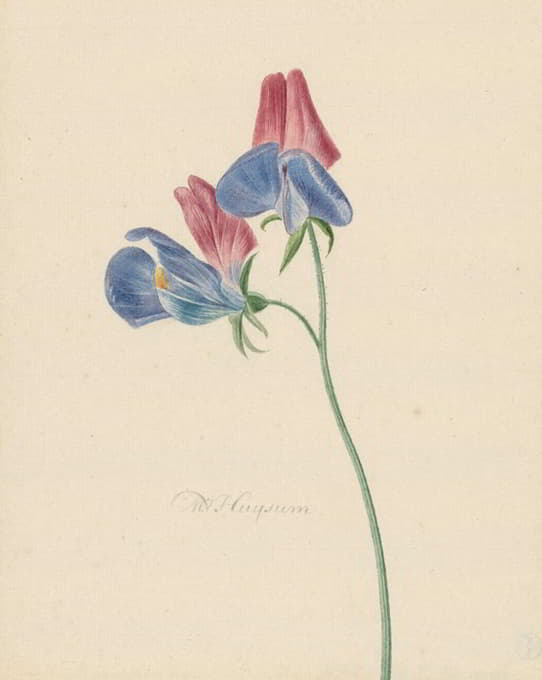 Michiel van Huysum - Tak met twee bloemen