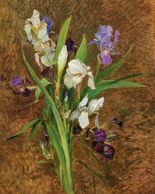 Rudolf Ribarz - Irises