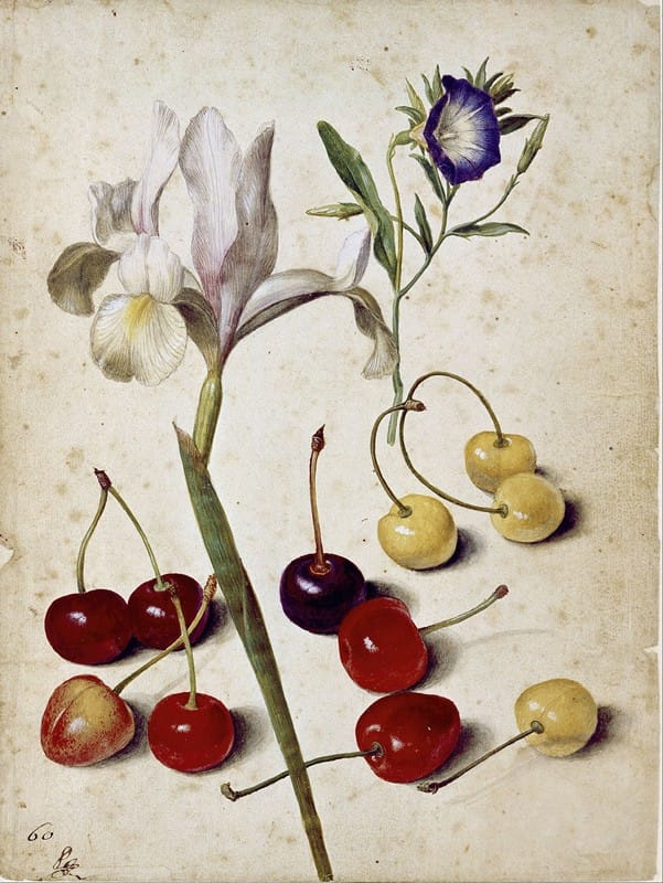 Georg Flegel - Spanish iris, morning glory, and cherries