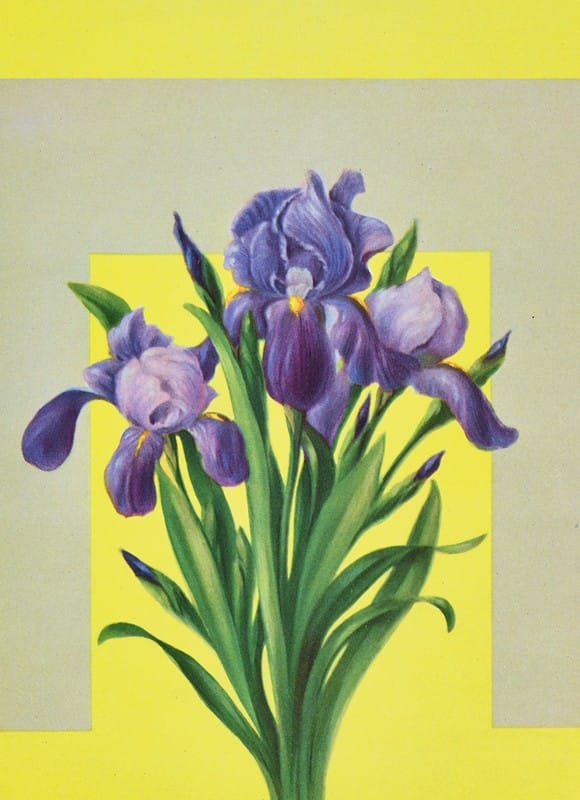 Lafayette F. Cargill - Iris