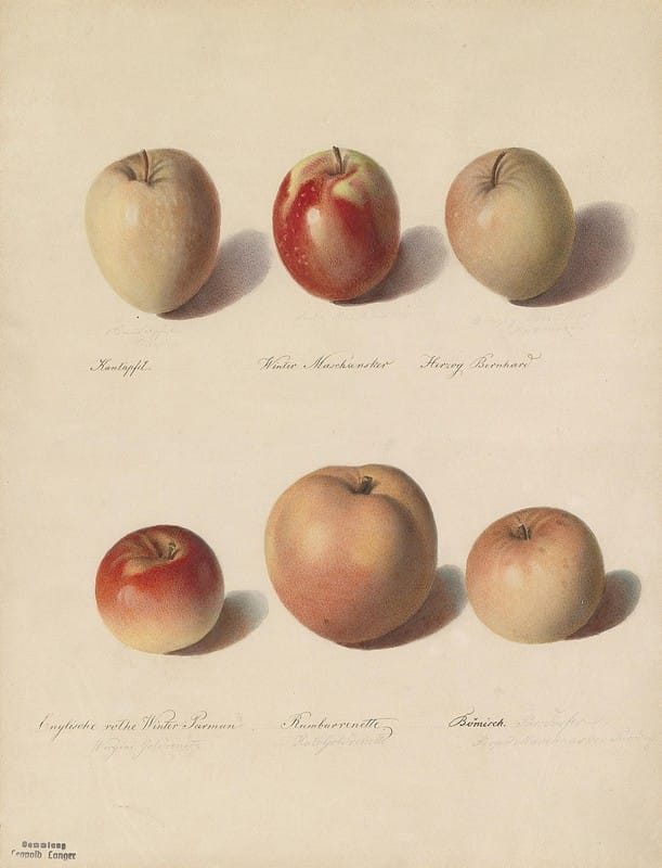 Sebastian Wegmayr - Apfelsorten