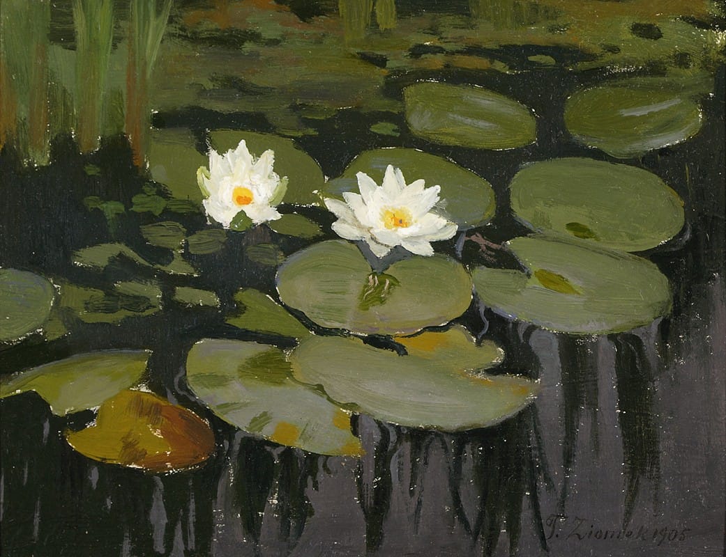 Teodor Ziomek - Water lilies