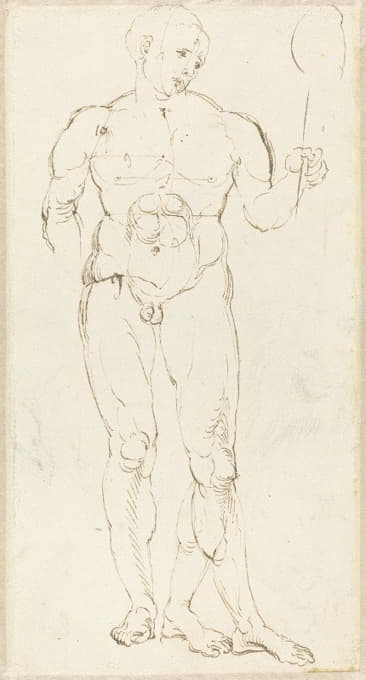 Albrecht Dürer - Male Nude Holding a Mirror (recto)