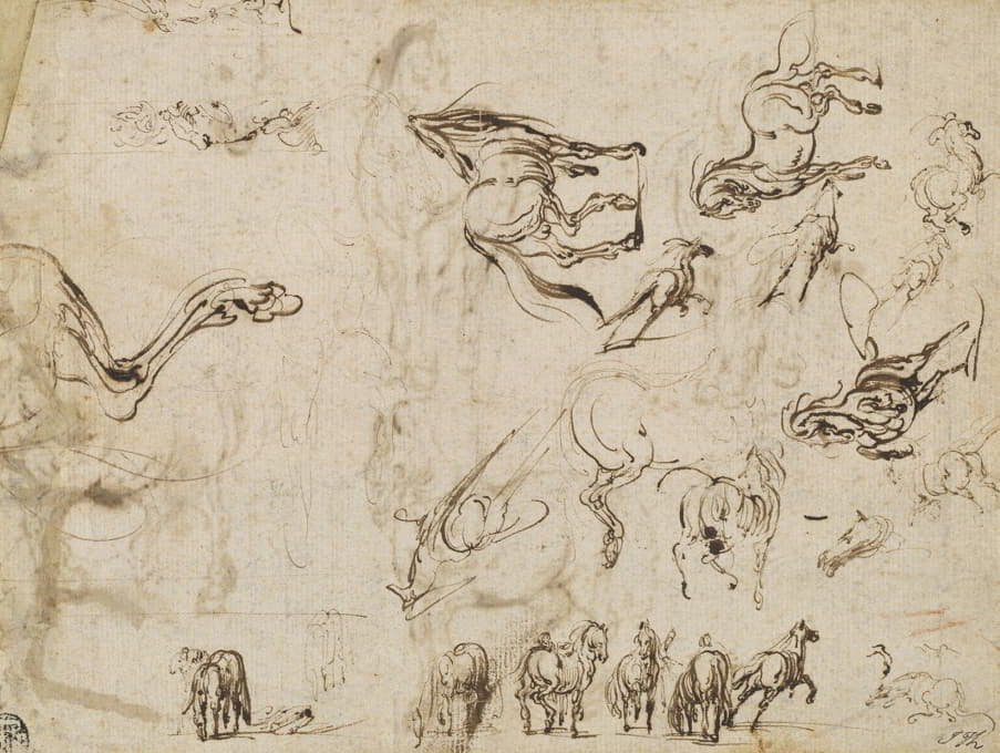 Jacques Callot - Studies of Horses (verso)