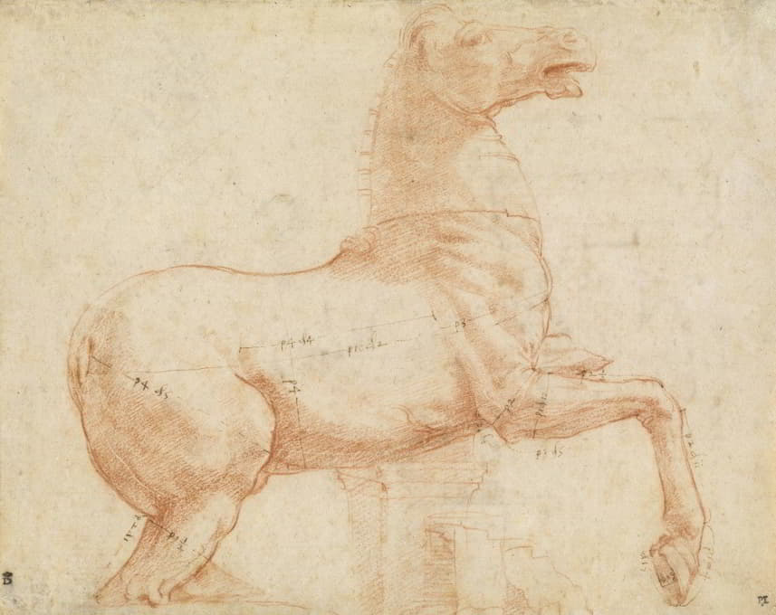 Raphael - A Marble Horse on the Quirinal Hill (recto)