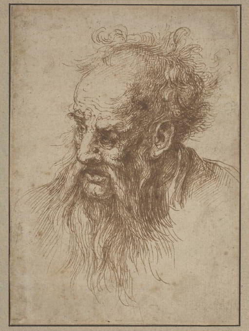 Spanish 17th Century - An Elderly Man with a Flowing Beard