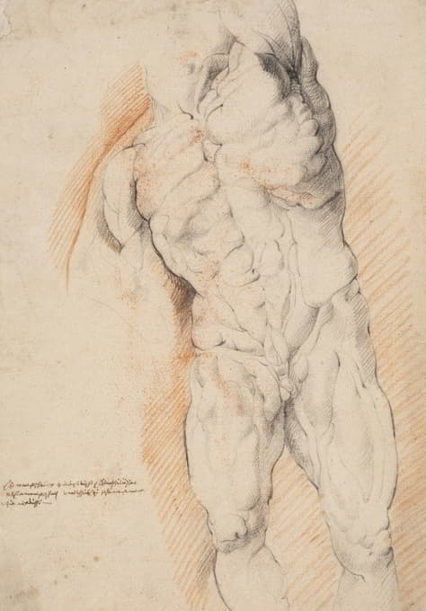 解剖学习作（écorché）。站立的剥皮男子的正面视图，他的左臂抬起