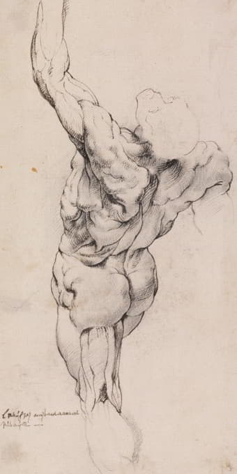 解剖学习作（écorché）。站着的被剥皮的男人从后半部分向左转，他的左臂抬起_