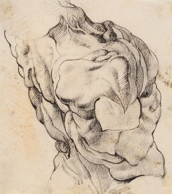 解剖学习作（écorché）。从后半部分向右看，一个剥皮男人的躯干