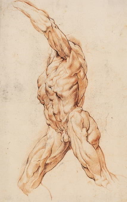 解剖学习作（écorchés）。一个被剥了皮的走路的人转向左边
