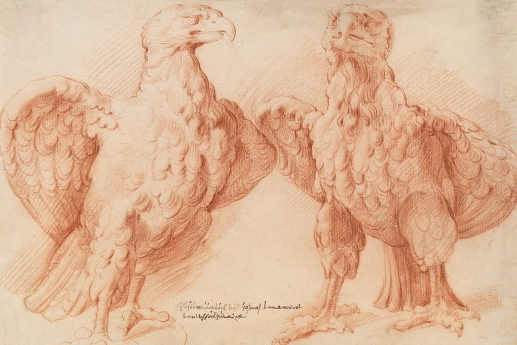Willem Panneels - Eagle. Two studies of an antique sculpture; front view half turned to the right, and front view half turned to the left