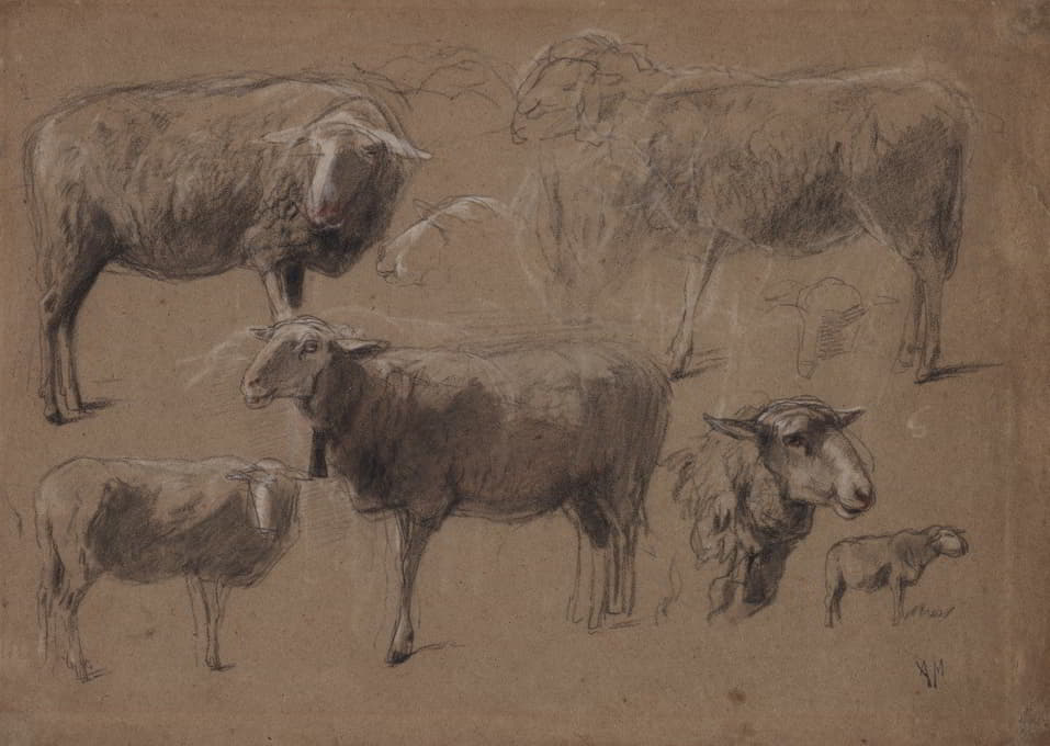 Anton Mauve - Studies of Sheep