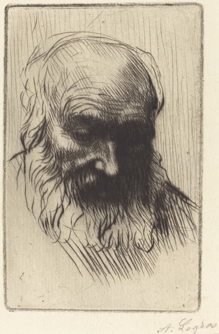 Alphonse Legros - Head of an Old Man (Etude de tete) II