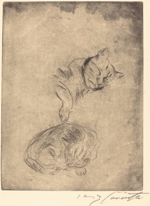 Lovis Corinth - Cats (Katzenstudie)