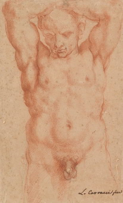 Agostino Carracci - Male Nude