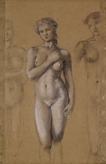 女性裸体-三项研究，可能针对维纳斯