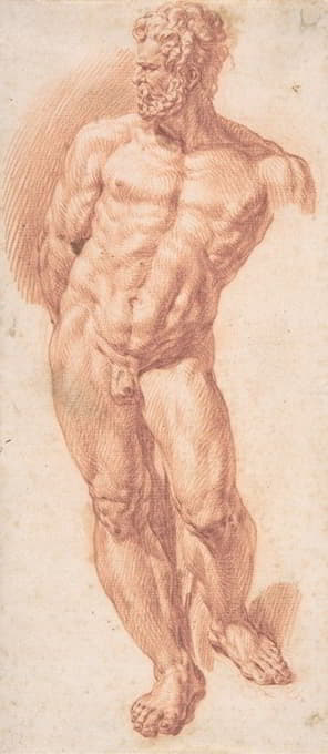 裸体站立男性