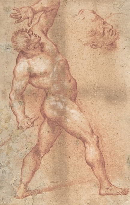 男性裸体，左臂抬高，进一步研究他的头部