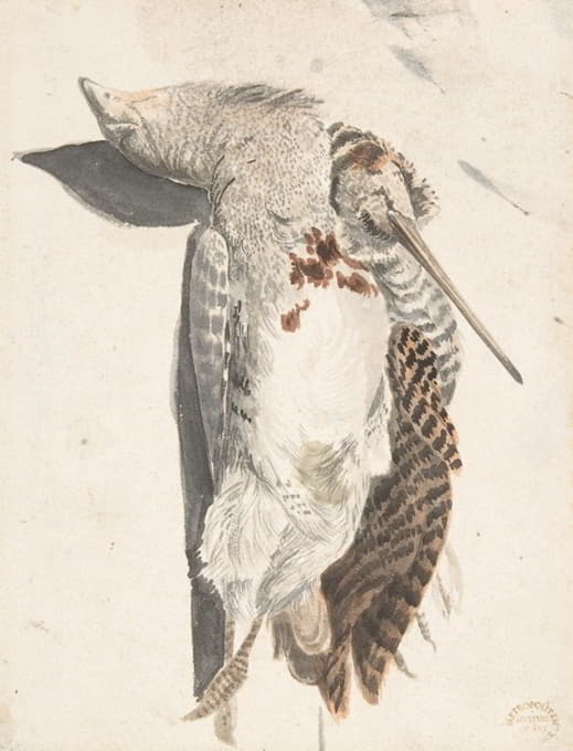 Count Giorgio Durante - Two Dead Birds (A Quail and a Long-Beaked Bird)