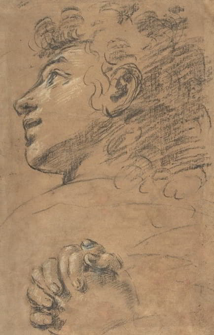 一个年轻人的侧面头像，左上角，习作的双手紧握
