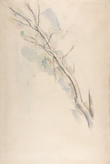 Paul Cézanne - Study of a tree