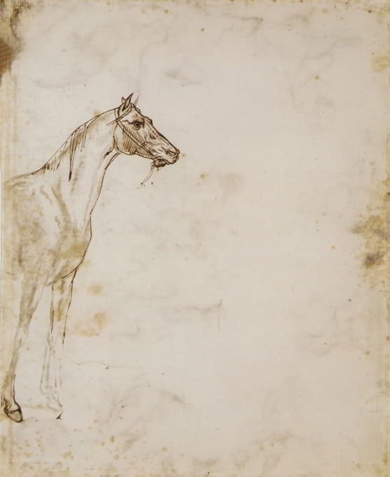 Théodore Géricault - Study of a Horse