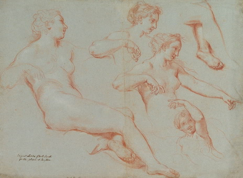 卧位女性裸体（Galatea）的四项研究