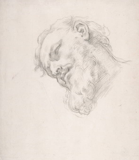 Carlo Maratti - Study for a Head of a Man