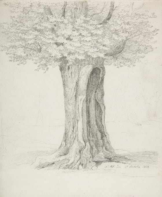 Ernst Ferdinand Oehme - Study of a Tree