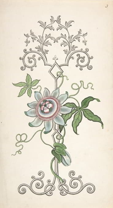 J. Hulme - Design for Panel Decoration Centered on a Passion Flower