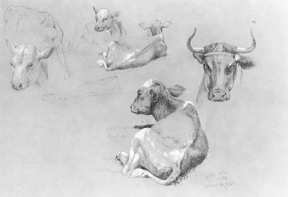 James McDougal Hart - Studies of Cows and Calves