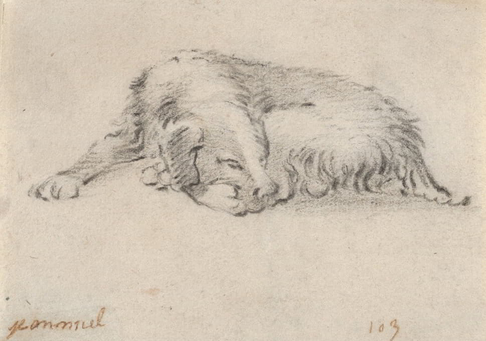Jan Miel - Study of a Sleeping Dog