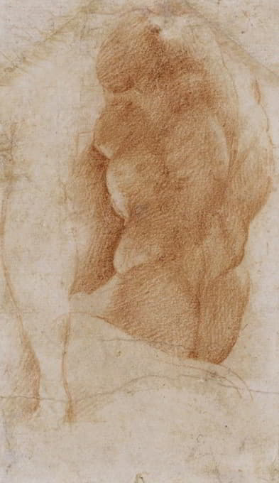 Parmigianino - Studies of a Nude Male Torso Seen from the Rear, and a leg