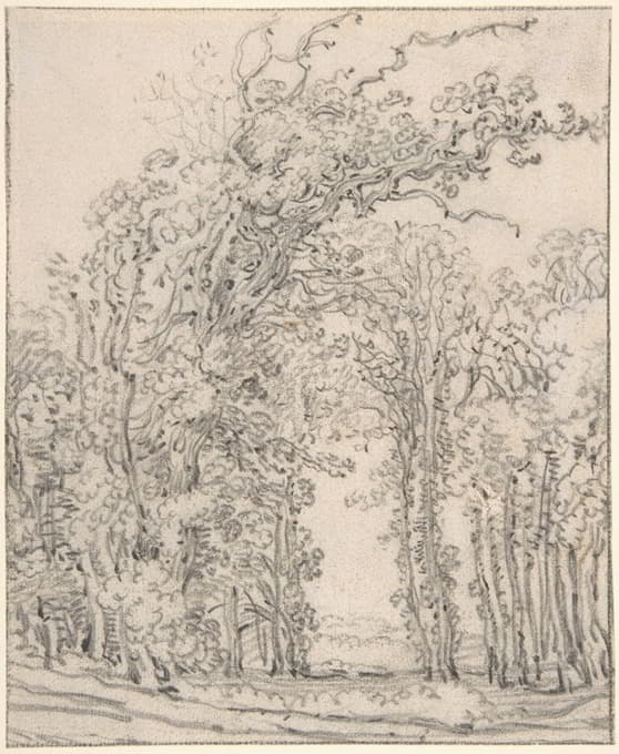John Ruskin - Study of Trees
